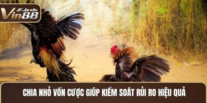 Chia nhỏ vốn cược giúp kiểm soát rủi ro hiệu quả