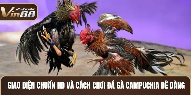 Tham gia đá gà Campuchia Vin88 rất dễ dàng