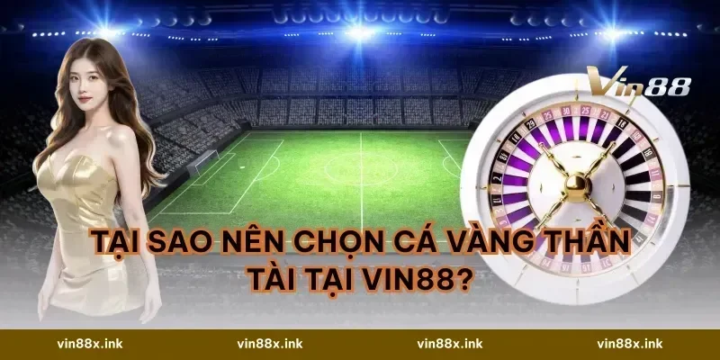Tại sao nên chọn cá vàng thần tài tại VIN88?