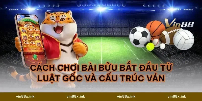 Cách chơi bài bửu bắt đầu từ luật gốc và cấu trúc ván